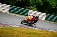 cadwell-no-limits-trackday;cadwell-park;cadwell-park-photographs;cadwell-trackday-photographs;enduro-digital-images;event-digital-images;eventdigitalimages;no-limits-trackdays;peter-wileman-photography;racing-digital-images;trackday-digital-images;trackday-photos